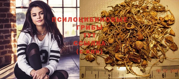 гашик Алексеевка